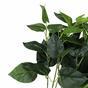 Umetna rastlina Philodendron 45 cm