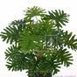 Umetna rastlina Philodendron xanadu 40 cm