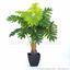 Umetna rastlina Philodendron xanadu 75 cm