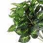 Umetna rastlina Potosovec 45 cm