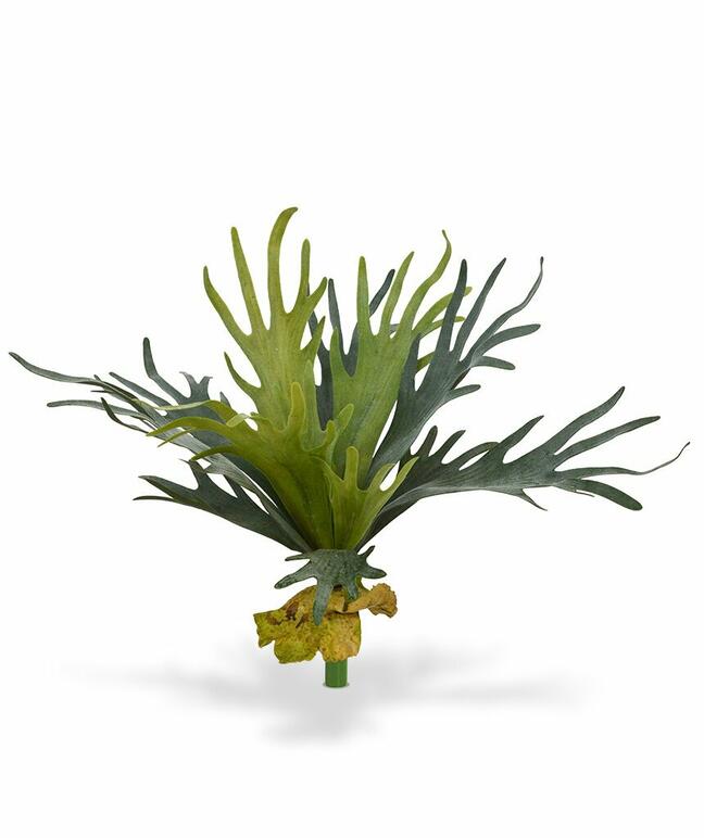 Umetna rastlina Rogovje 50 cm
