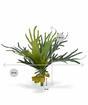 Umetna rastlina Rogovje 50 cm