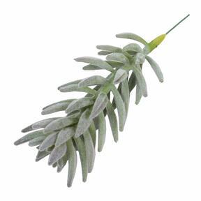 Umetna rastlina Senecio haworthii 21 cm