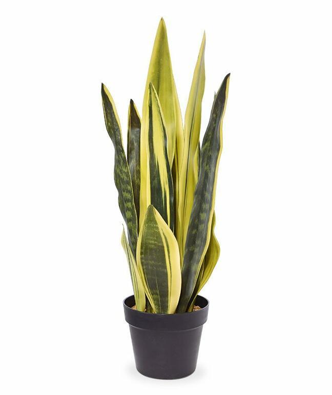 Umetna rastlina Svokrine jeziki rumeno-zeleni 72 cm