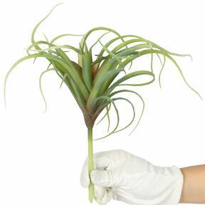 Umetna rastlina Tillandsia 15 cm