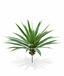 Umetna rastlina Yucca 55 cm