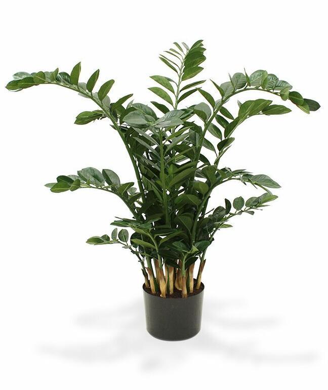 Umetna rastlina Zamiokulkas 120 cm