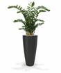 Umetna rastlina Zamiokulkas 120 cm