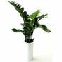 Umetna rastlina Zamiokulkas 65 cm