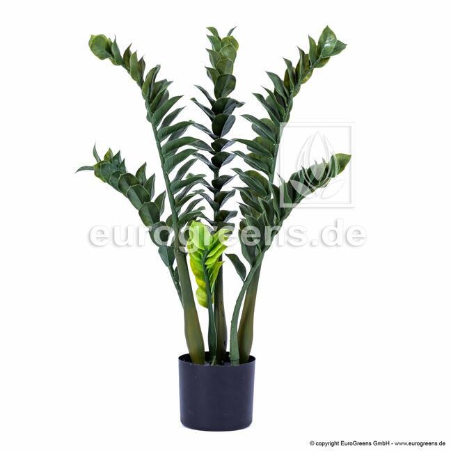Umetna rastlina Zamiokulkas 75 cm