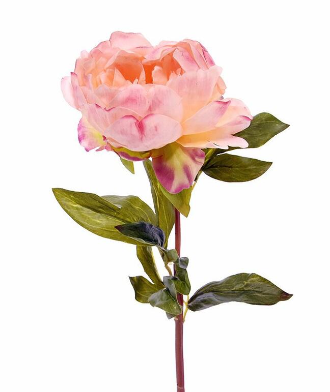 Umetna roža potonika roza 55 cm