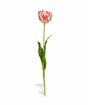 Umetna roža Tulipan rdeče-bela 70 cm