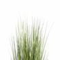 Umetna trava Kitajski svetlo zeleni ornament 150 cm