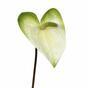 Umetna veja Anthurium belo-zelena 55 cm