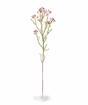 Umetna veja Chamelaucium uncinatum roza 65 cm