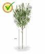 Umetna veja Crossostephium 45 cm