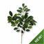 Umetna veja Fikus 55 cm