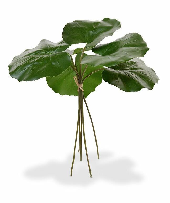 Umetna veja Galax 35 cm