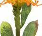 Umetna veja Leucadendron oranžna 60 cm