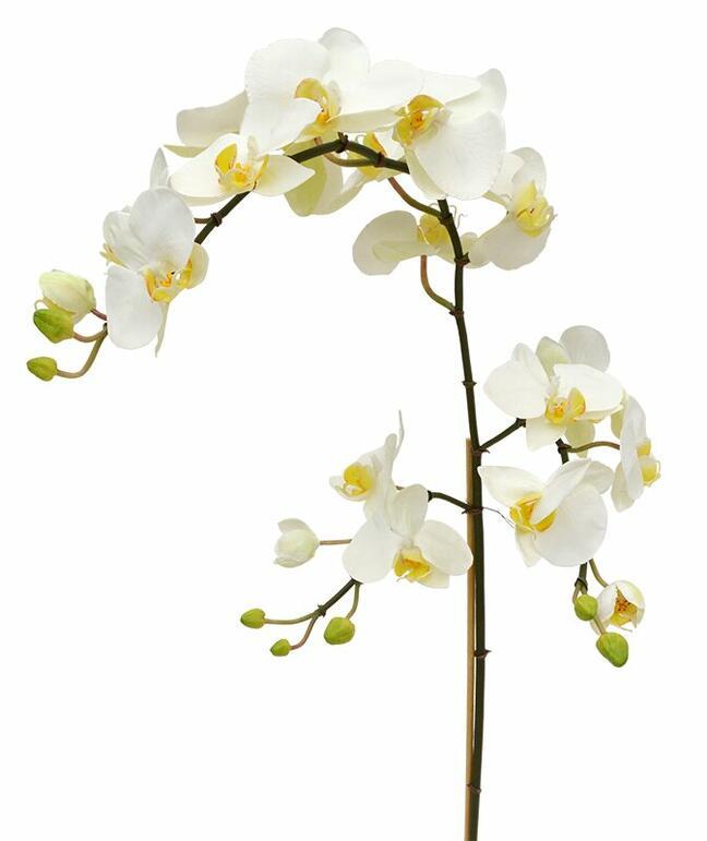 Umetna veja orhideje bela 110 cm