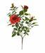 Umetna veja Rdeča vrtnica 70 cm