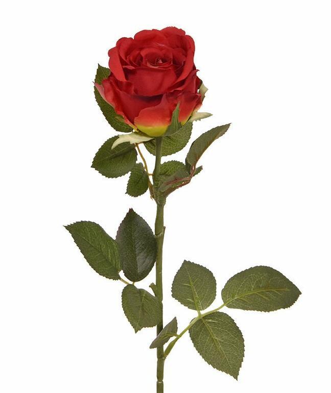 Umetna veja Rdeča vrtnica 74 cm
