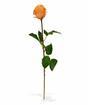 Umetna veja Rose oranžna 52 cm