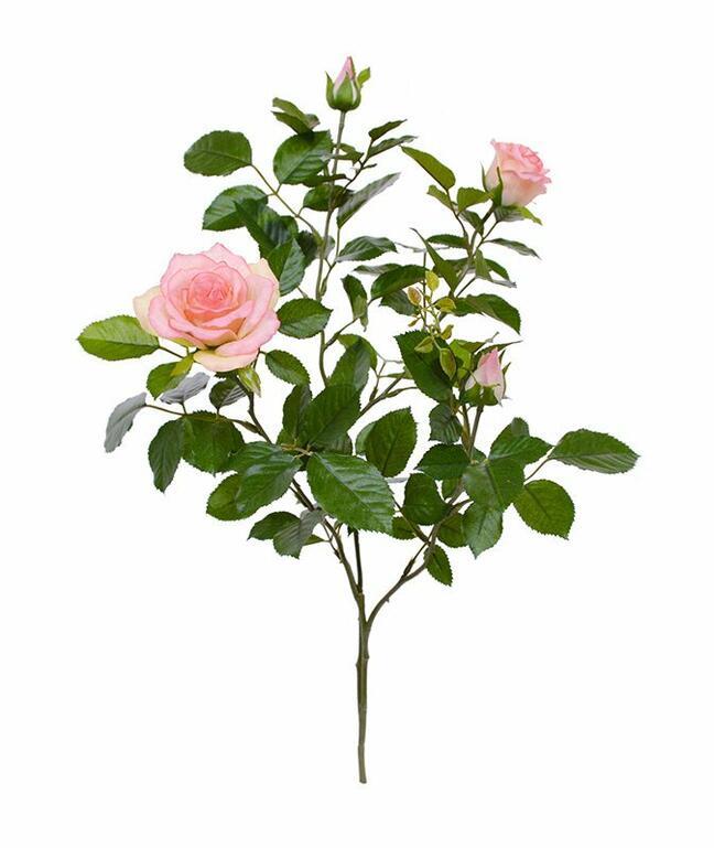 Umetna veja Roza vrtnica 70 cm