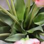 Umetna veja Tulipan zeleno-roza 70 cm