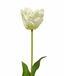 Umetna veja Tulipanova krema 70 cm