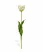 Umetna veja Tulipanova krema 70 cm