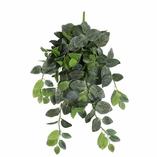 Umetna vitica Fitónia bela 80 cm