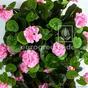 Umetna vitica Geranium roza 70 cm