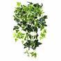Umetna vitica Ivy belo-zelena 80 cm
