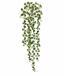 Umetna vitica Peperomia rotundifolia 80 cm