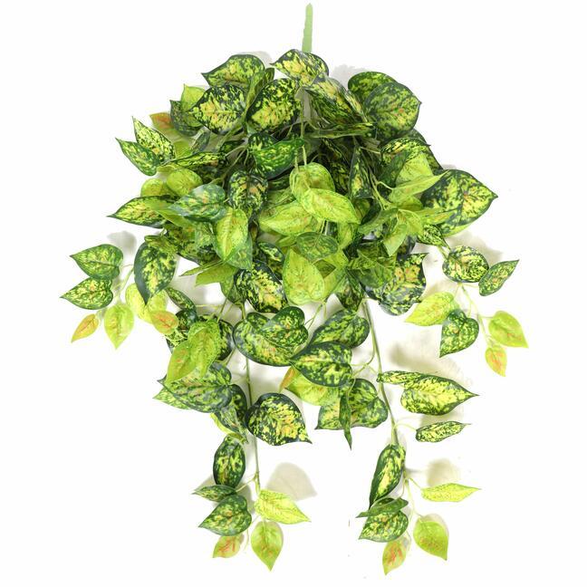 Umetna vitica Potosovec pegava 80 cm