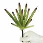 Umetni kaktus 21 cm