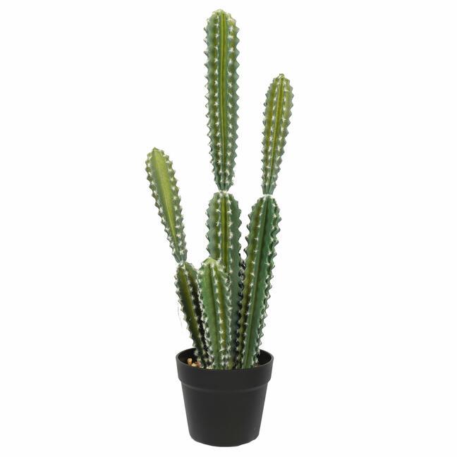 Umetni kaktus 69 cm