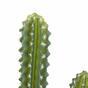 Umetni kaktus 69 cm