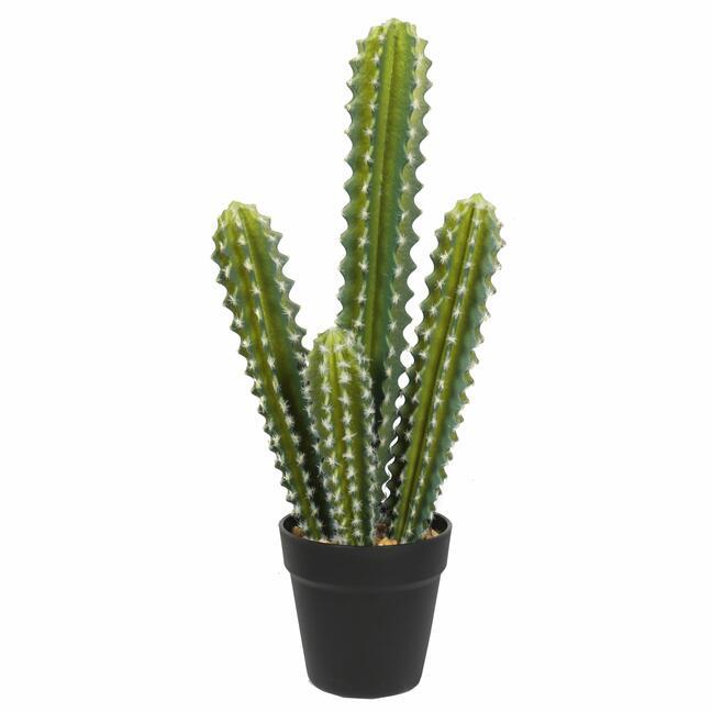 Umetni kaktus 52 cm