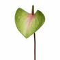 Umetni list Anthurium roza-zelen 50 cm