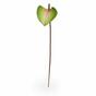 Umetni list Anthurium roza-zelen 50 cm