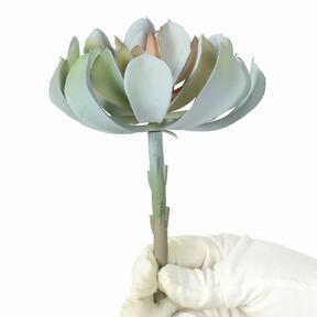 Umetni lotos sivo-roza 14 cm