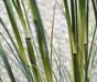 Umetni snop bambusove trave v lončku 80 cm