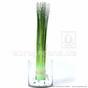 Umetni snop trave Navadna trstika 63 cm