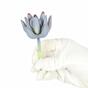 Umetni sočni lotos Eševéria Colorata 10 cm