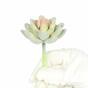 Umetni sočni lotos Eševéria Elegans 9,5 cm