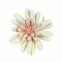 Umetni sočni lotos Esheveria bel 10,5 cm