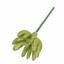 Umetni sočni lotos Esheveria zelen 9 cm