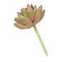 Umetni sočni lotos Graptopetalum 9,5 cm